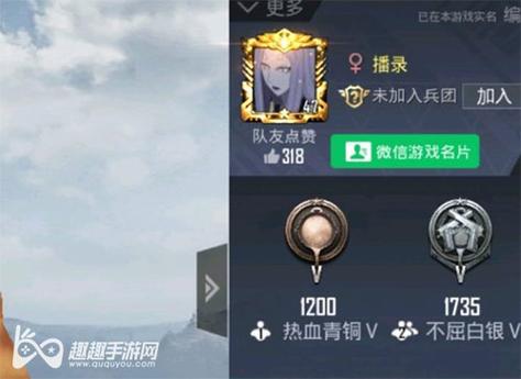 和平精英【神眼】模拟器辅助